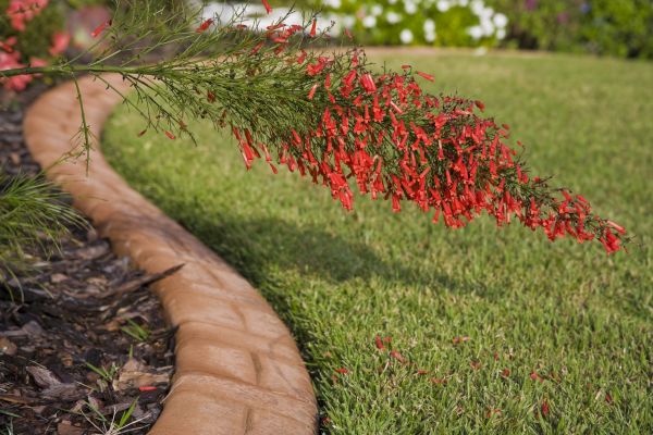 Brick Edging in Saint George